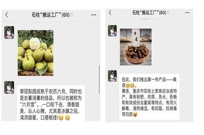 【三下鄉】“帶貨”農產品，教育咨詢助力脫貧